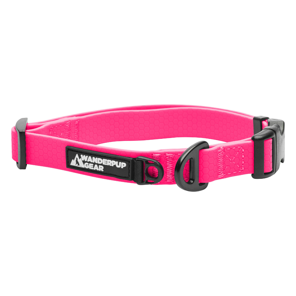 Waterproof Dog Collar Pink Wanderpup Gear