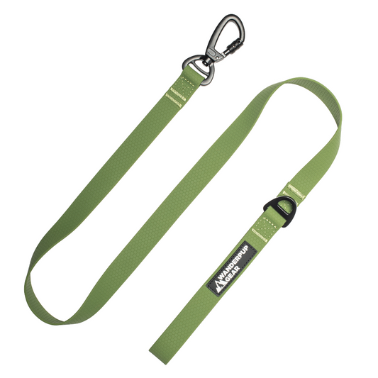 Waterproof Dog Leash - Hunter Green Wanderpup Gear
