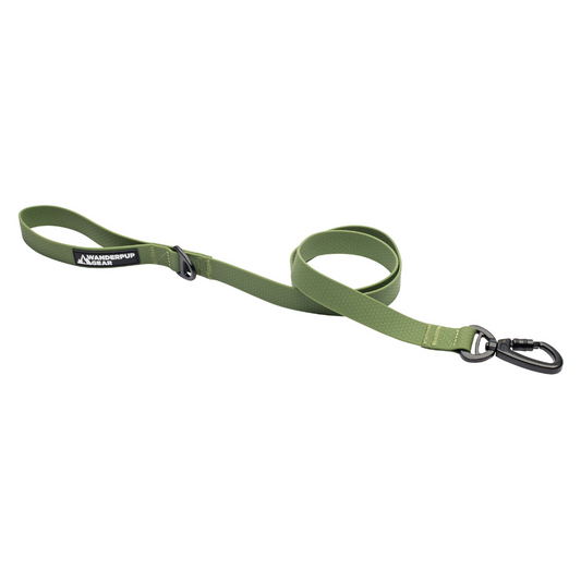 Waterproof Dog Leash - Hunter Green Wanderpup Gear