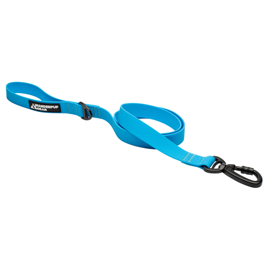 Waterproof Dog Leash - Arctic Blue Wanderpup Gear