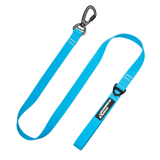 Waterproof Dog Leash - Arctic Blue Wanderpup Gear