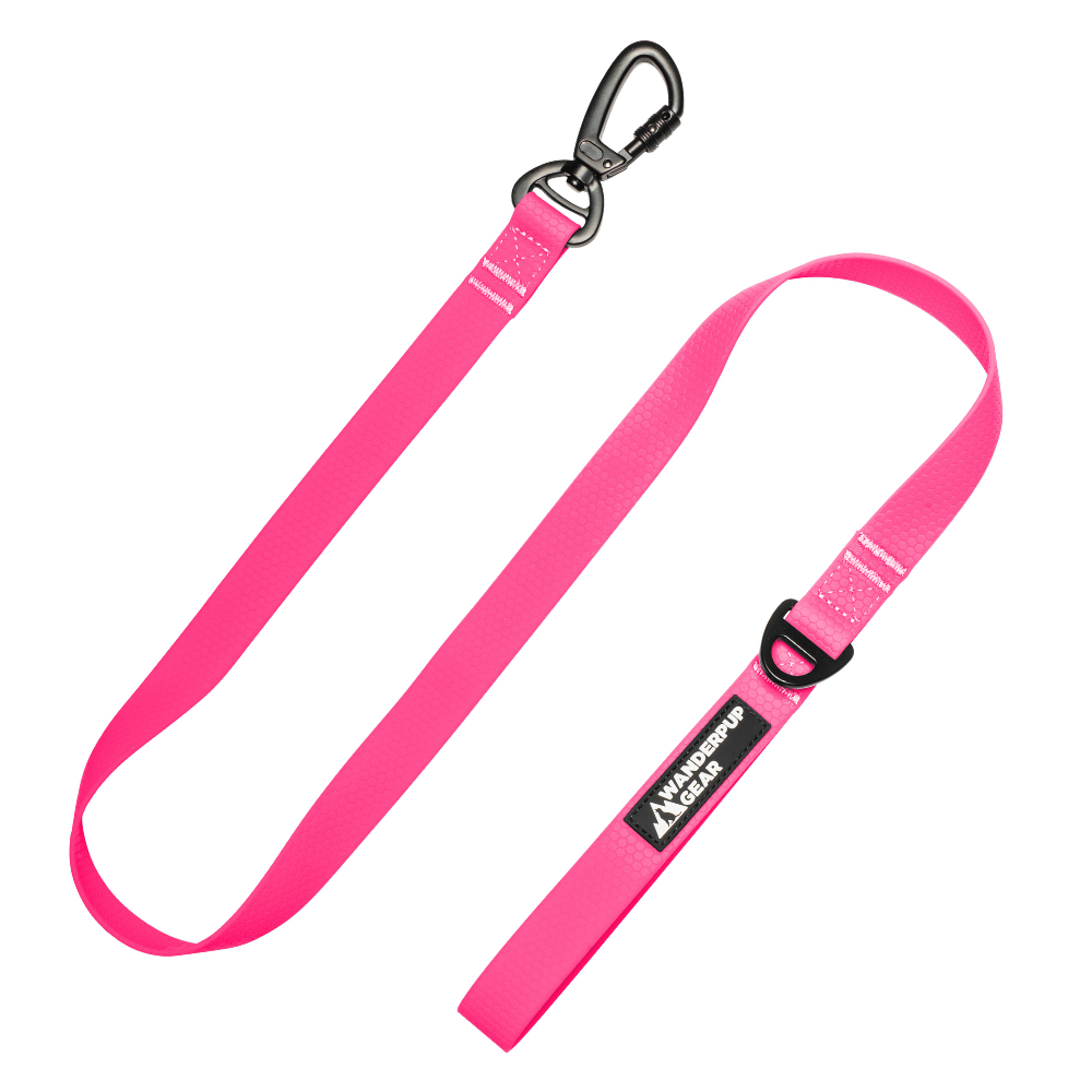 Pink Leach Hot Pink Waterproof Dog Leash - Vibrant, Durable & Reliable – Wanderpup ...