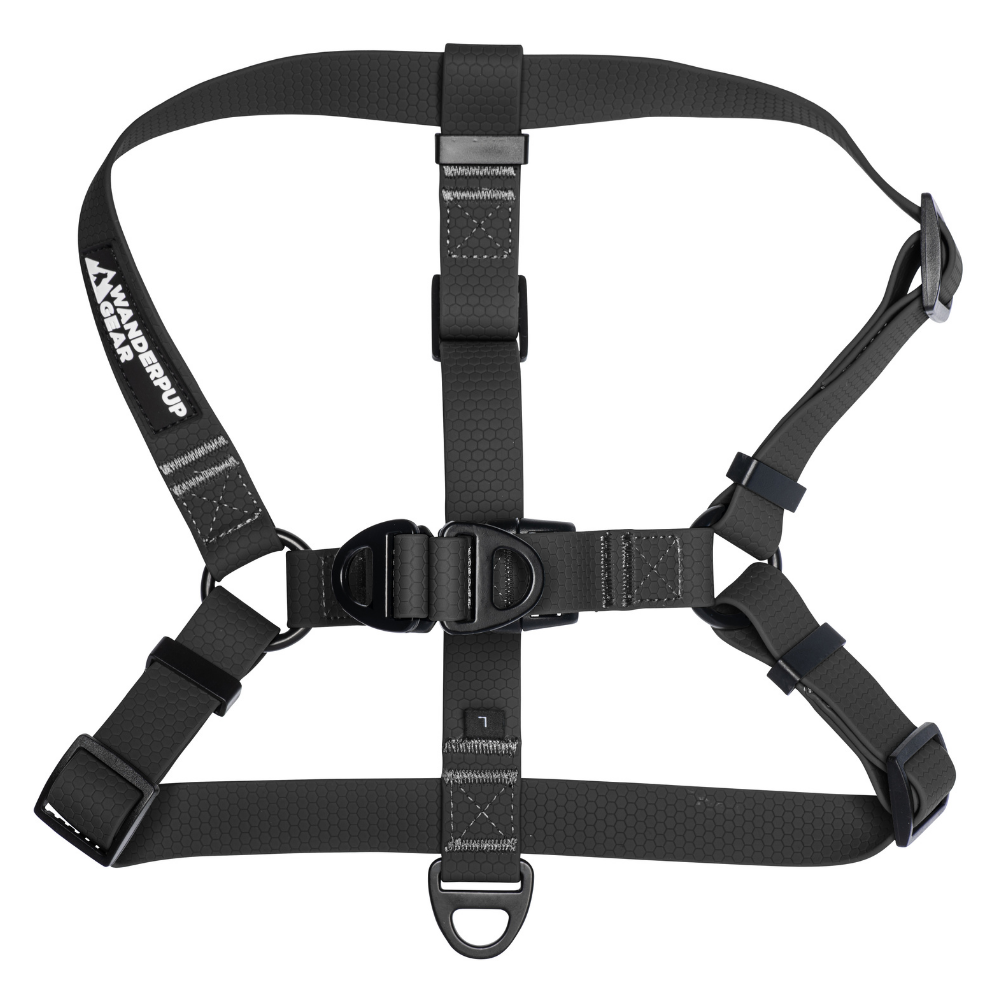 Top view of black stink-proof waterproof dog harness for active dogs