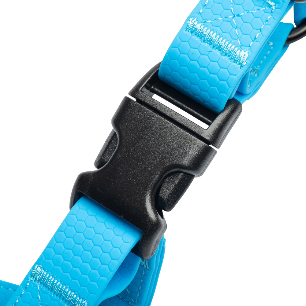 Secure side-release buckles on blue waterproof dog harness for easy fit