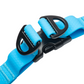 Close-up of heavy-duty D-rings on blue waterproof dog harness