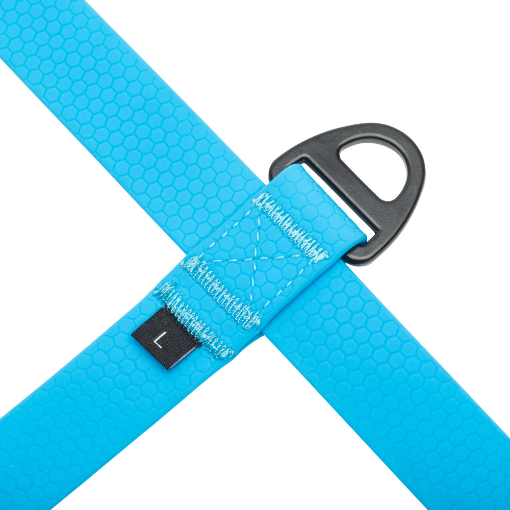 Front no-pull D-ring on blue waterproof dog harness for training support