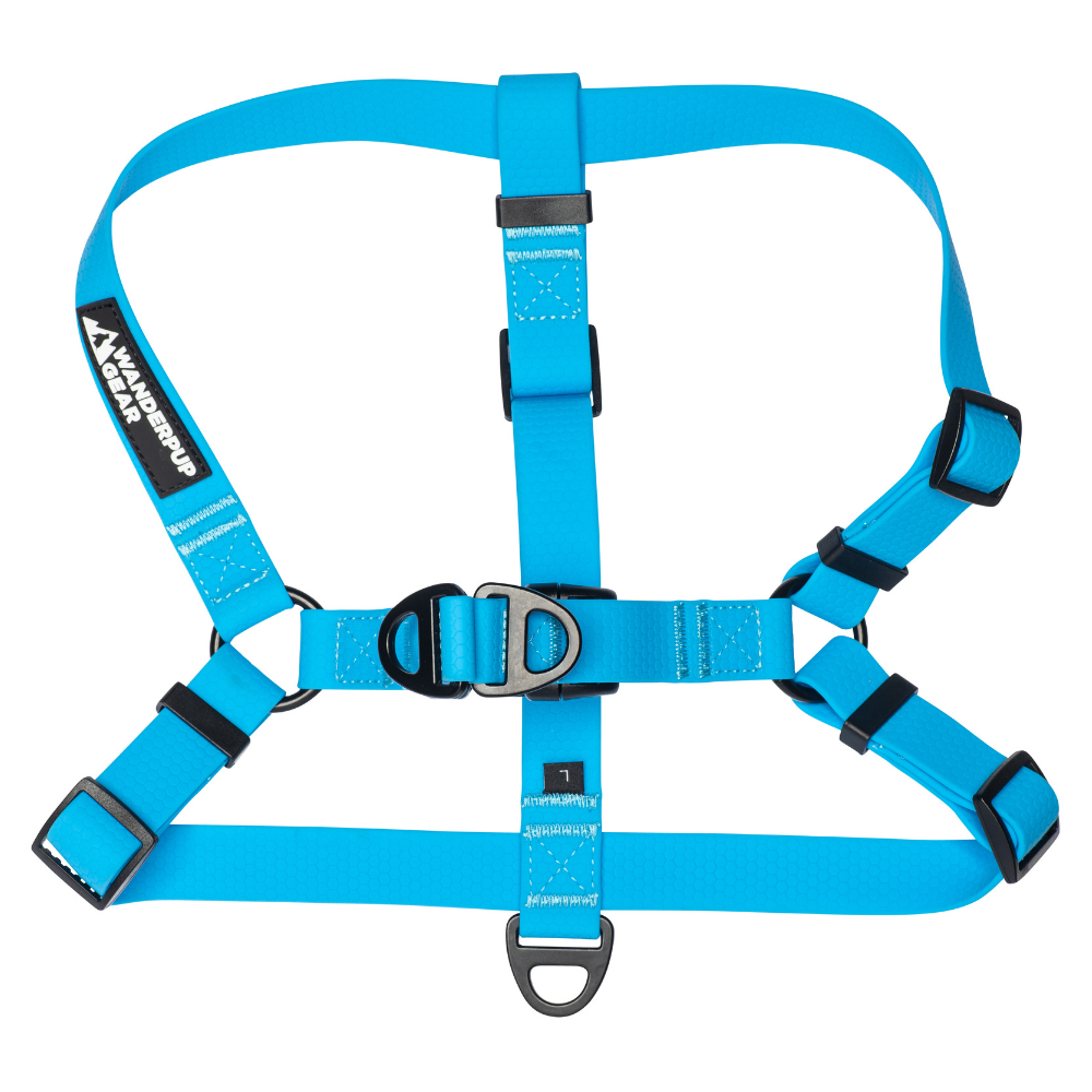 Top view of blue stink-proof waterproof dog harness for active dogs