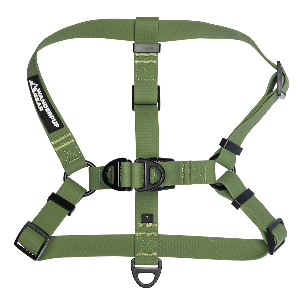 Top view of green stink-proof waterproof dog harness for active dogs