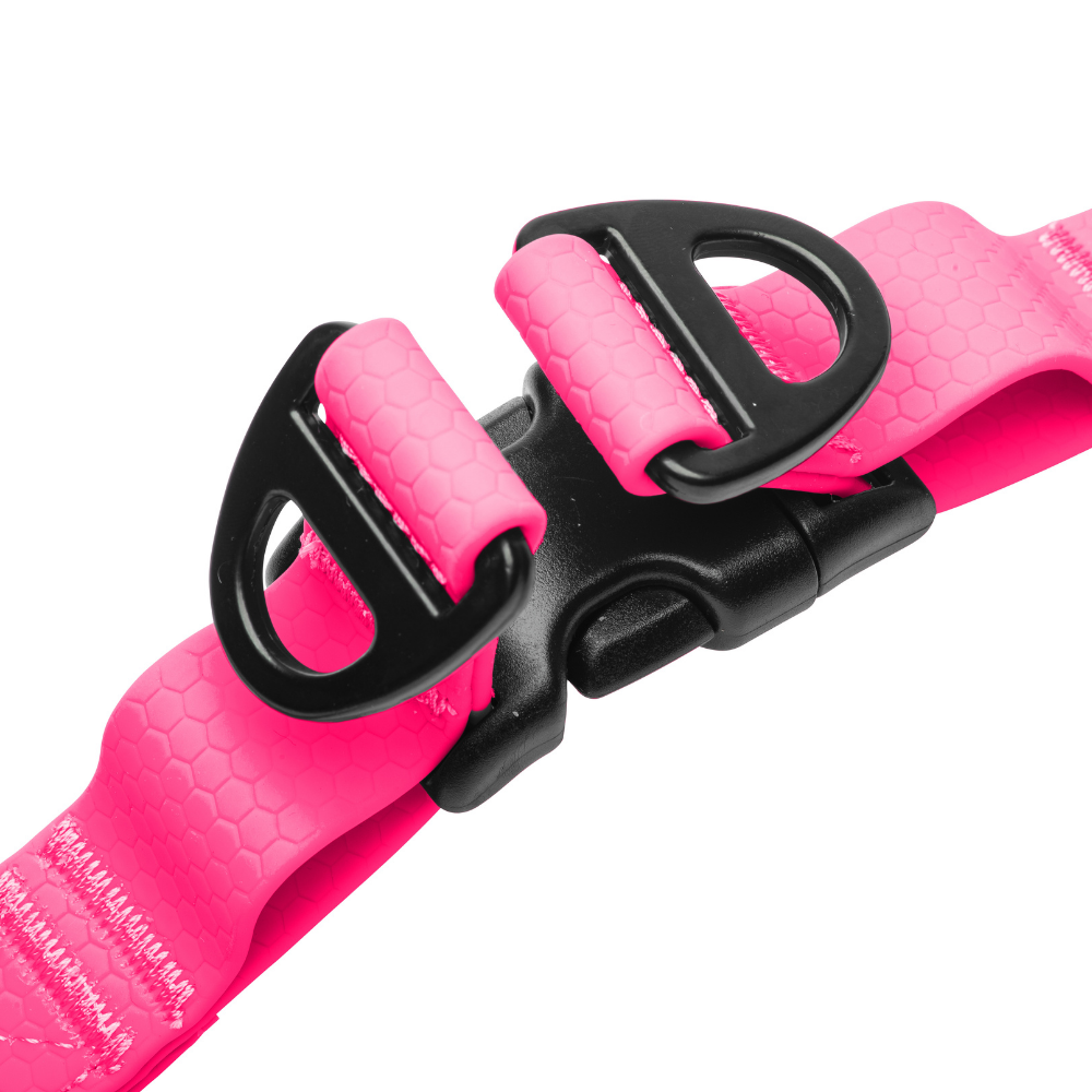 Close-up of heavy-duty D-rings on pink waterproof dog harness